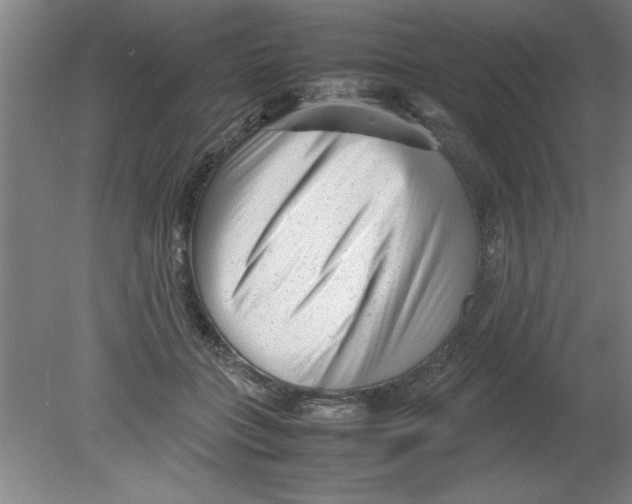 X0000080120555200612302013