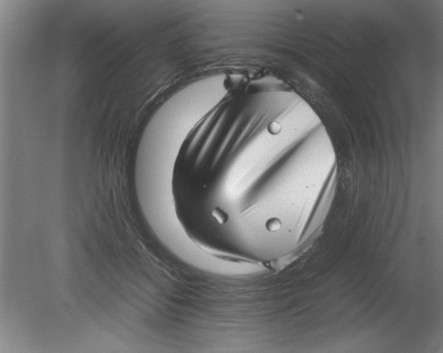 X0000080120556200612302013