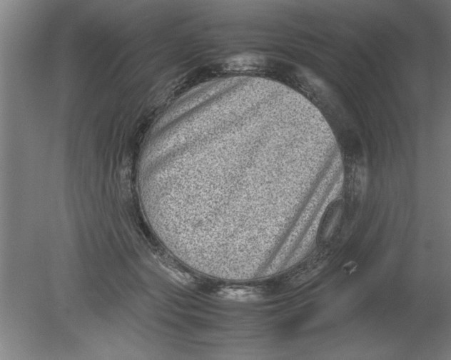 X0000080120557200612302013