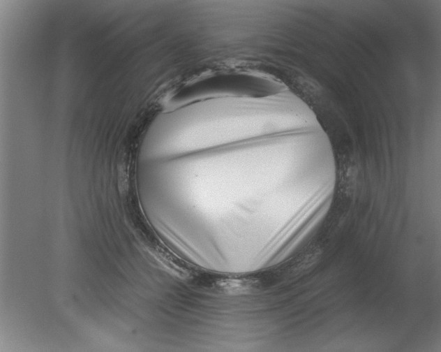 X0000080120558200612302013