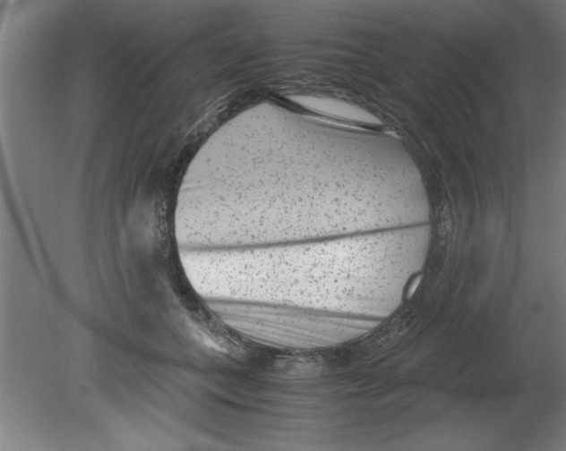 X0000080120559200612302013