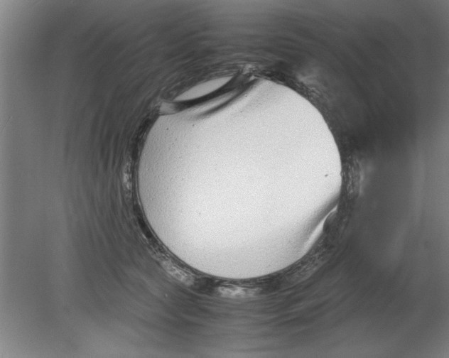 X0000080120561200612302013