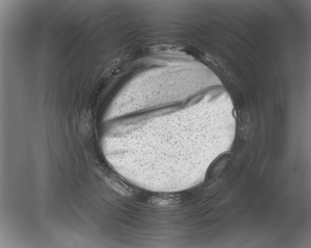 X0000080120563200612302013