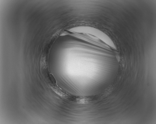 X0000080120564200612302013