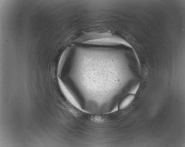 X0000080120565200612302013