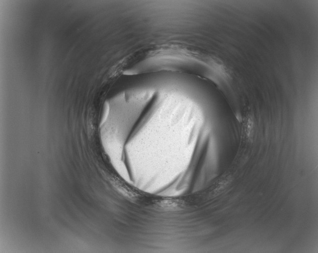 X0000080120566200612302013