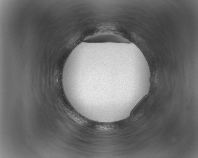 X0000080120567200612302013