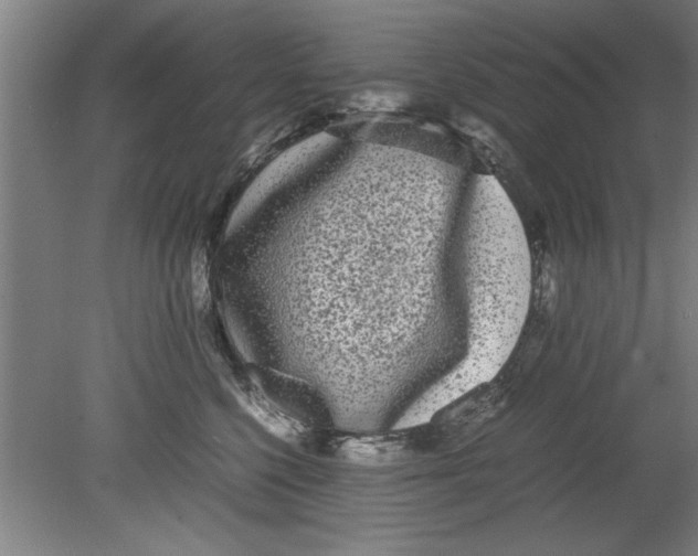 X0000080120568200612302013