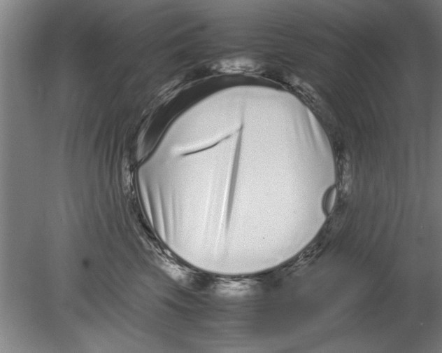 X0000080120569200612302013