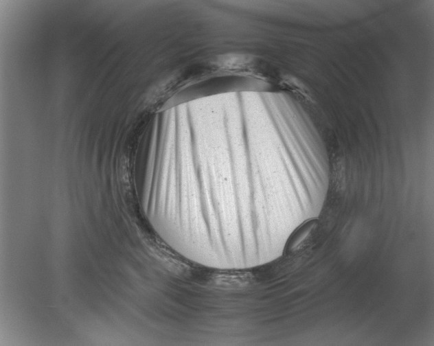 X0000080120571200612302013