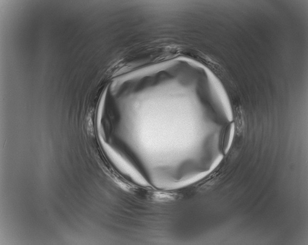 X0000080120573200612302013