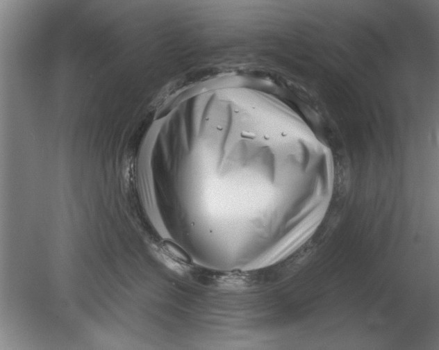 X0000080120574200612302013