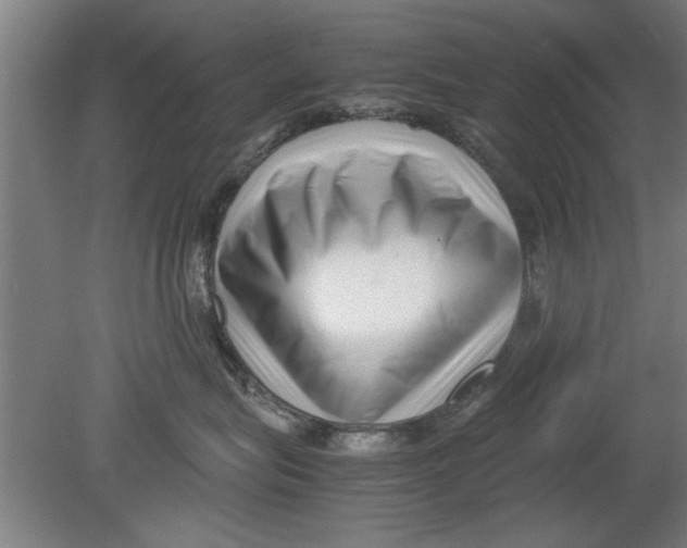 X0000080120575200612302013