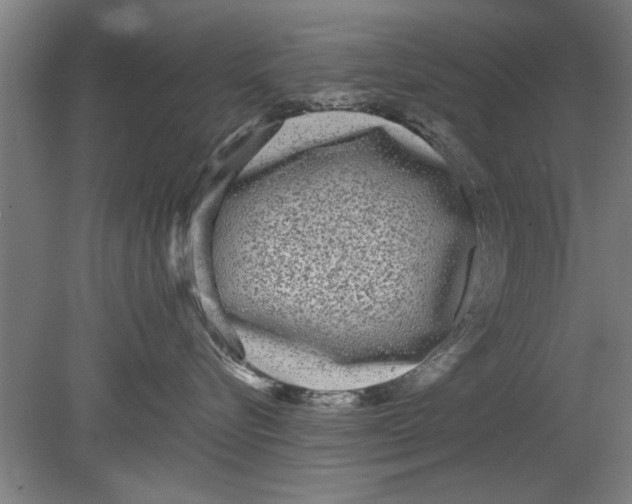 X0000080120576200612302013