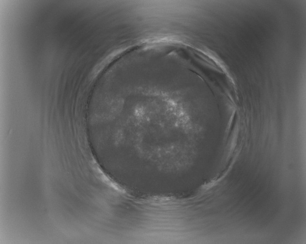 X0000080120577200612302012