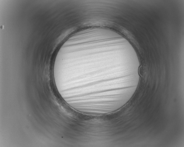 X0000080120578200612302012