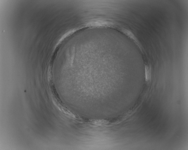 X0000080120579200612302012