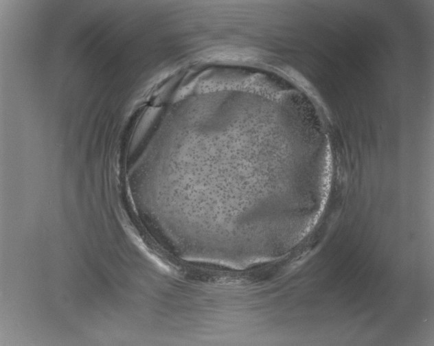 X0000080120581200612302012