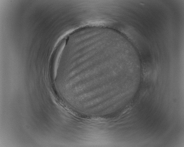 X0000080120583200612302012