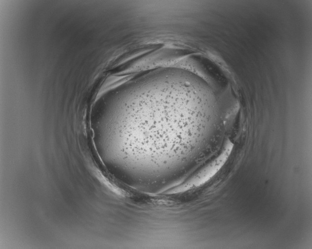 X0000080120585200612302012