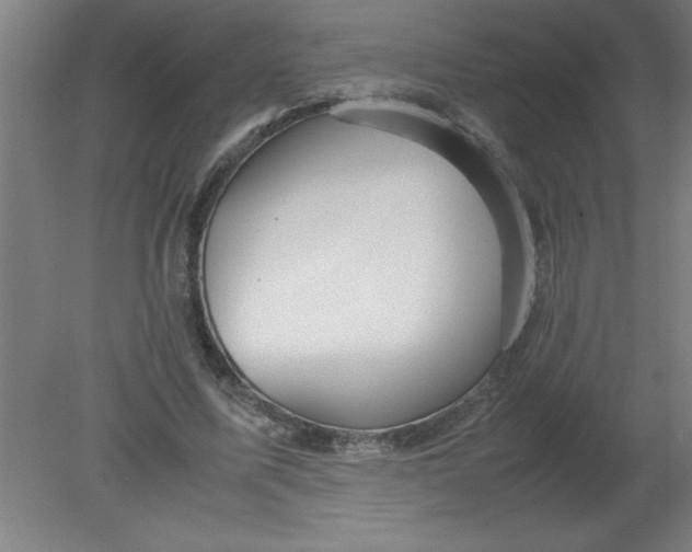 X0000080120587200612302012