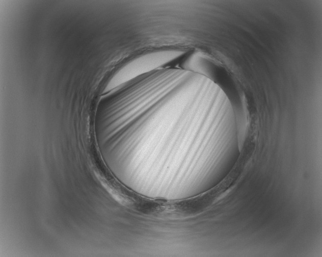 X0000080120589200612302012