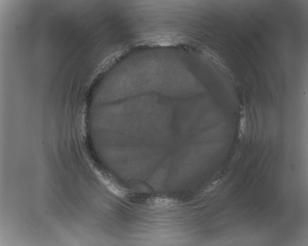 X0000080120590200612302012