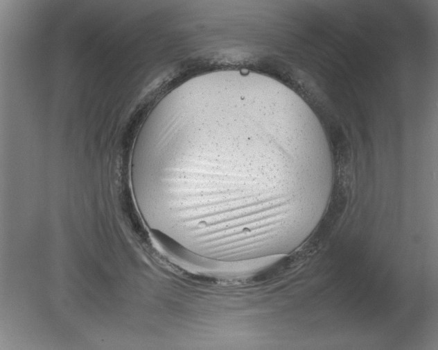 X0000080120591200612302012