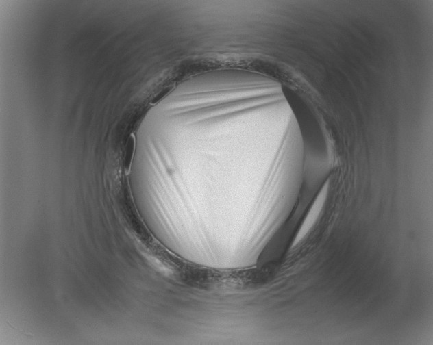 X0000080120593200612302012