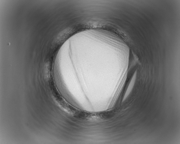 X0000080120594200612302012