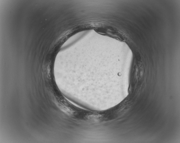 X0000080120595200612302012