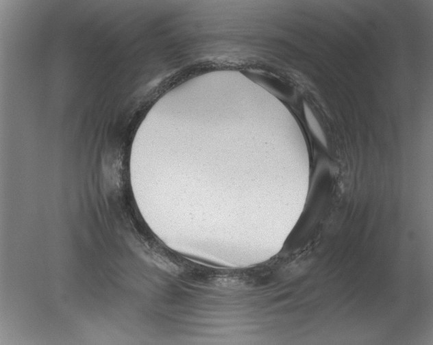 X0000080120596200612302012