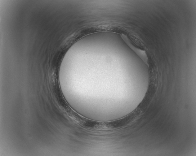 X0000080120597200612302012