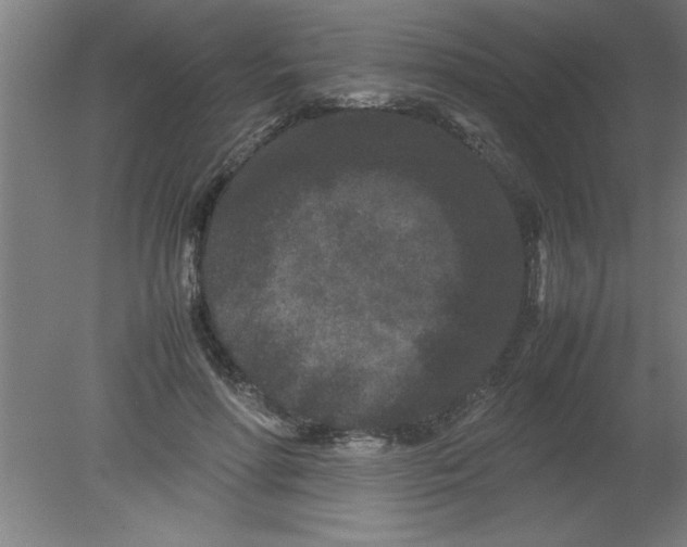 X0000080120598200612302012