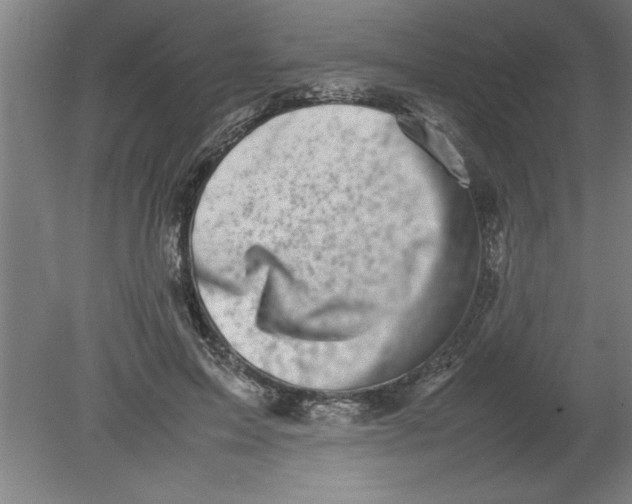 X0000080120599200612302012