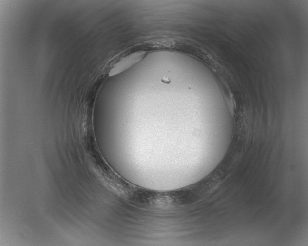 X0000080120600200612302012