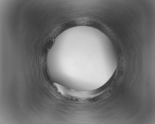 X0000080120601200612302012