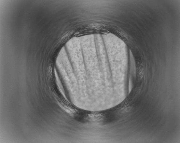 X0000080120603200612302012