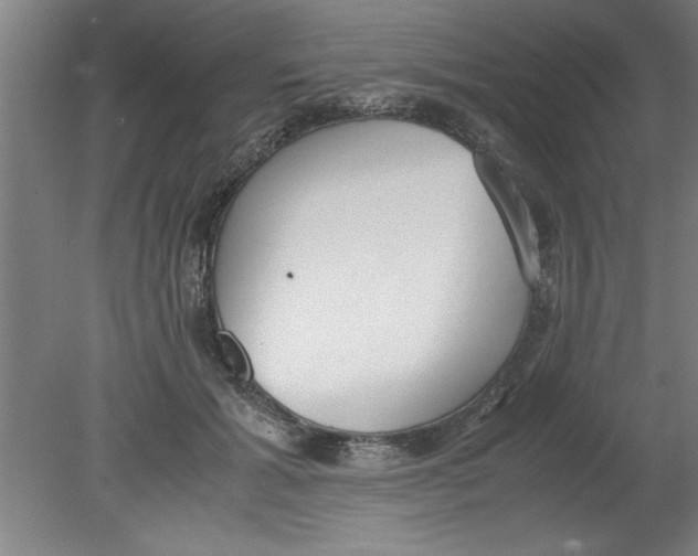 X0000080120605200612302012