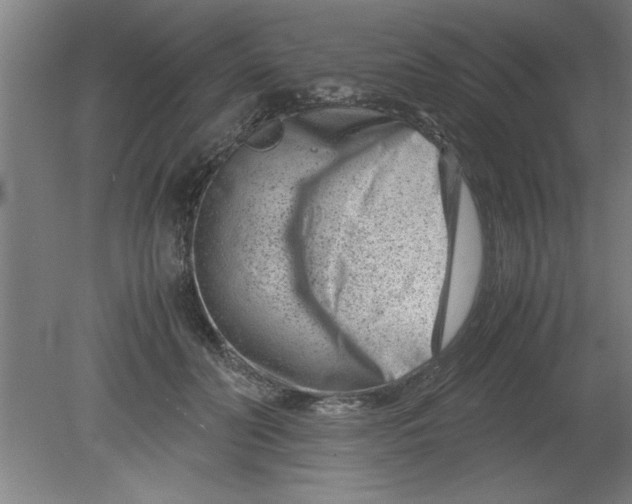 X0000080120606200612302012