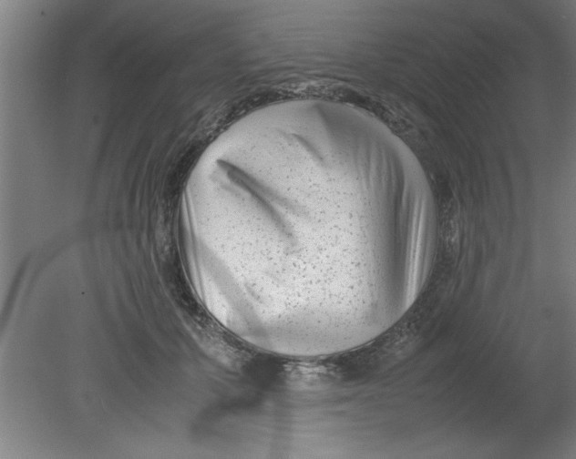 X0000080120607200612302012