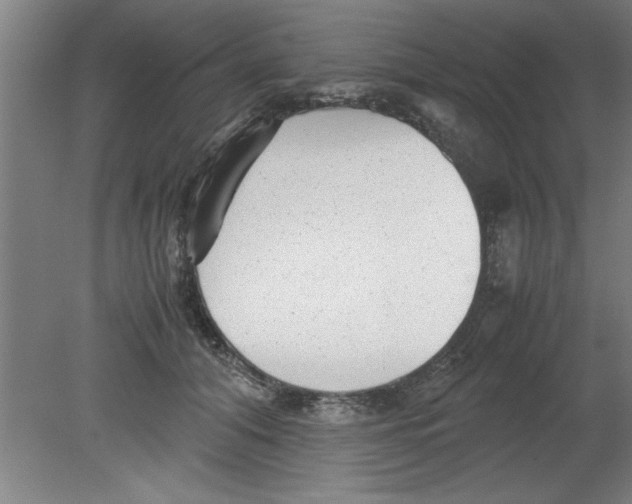 X0000080120608200612302012