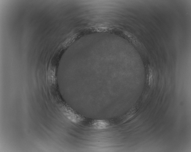 X0000080120610200612302012