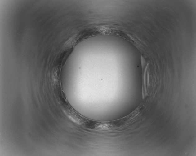 X0000080120611200612302012