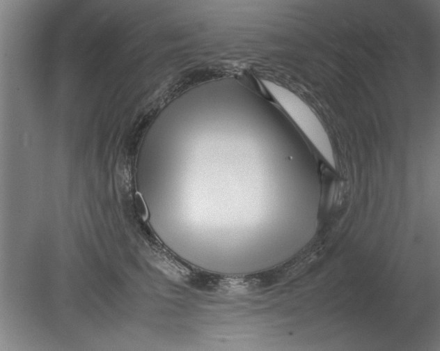 X0000080120613200612302012