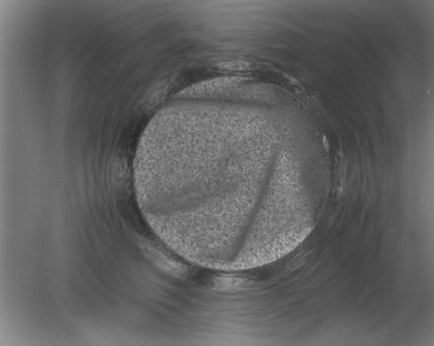 X0000080120614200612302012