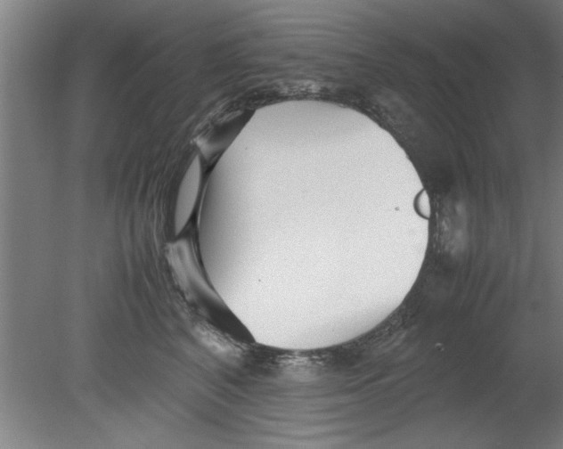 X0000080120616200612302012