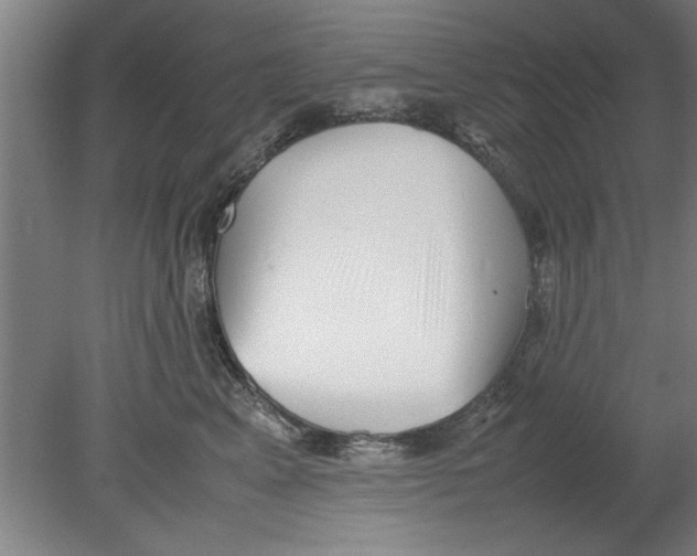 X0000080120617200612302012