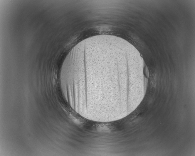 X0000080120618200612302012