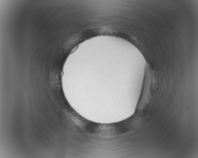 X0000080120619200612302012